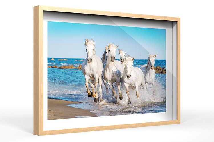 A photographic print in a “Camargue” Glass Frame